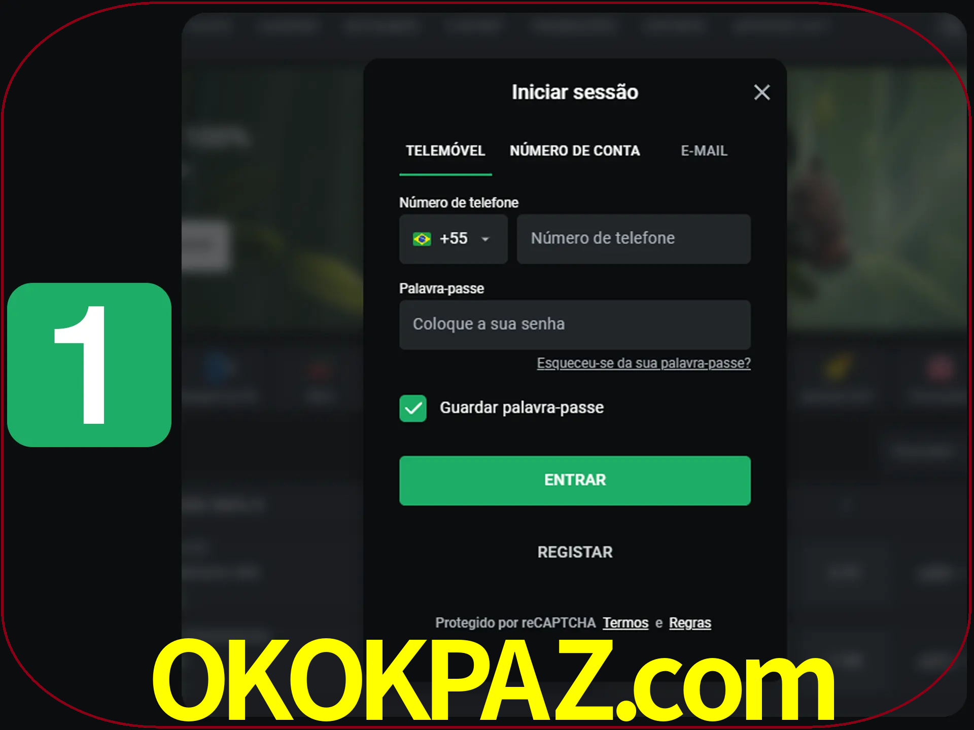 Clique no botão Entrar.